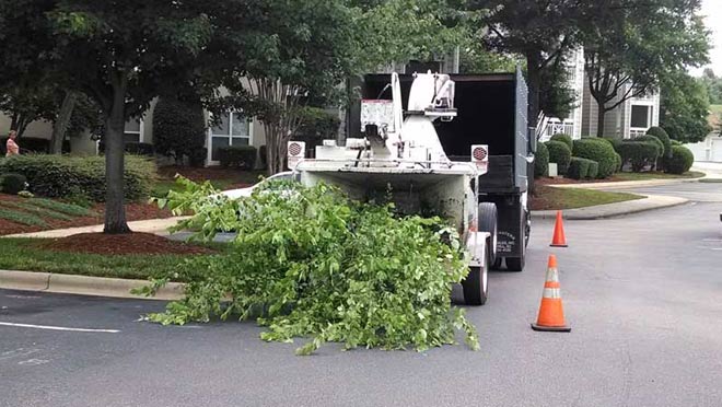 Stump Grinders Tree Service chipper in action.