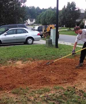 Stump Grinders Tree Service can remove tree stumps by having them ground down below the surface of the topsoil!